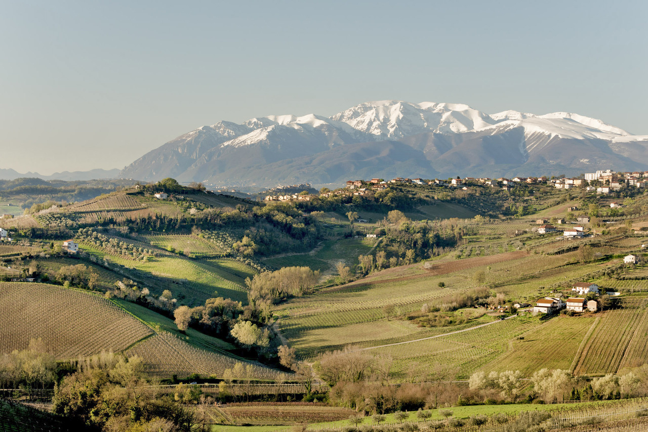 Esperienza in cantina